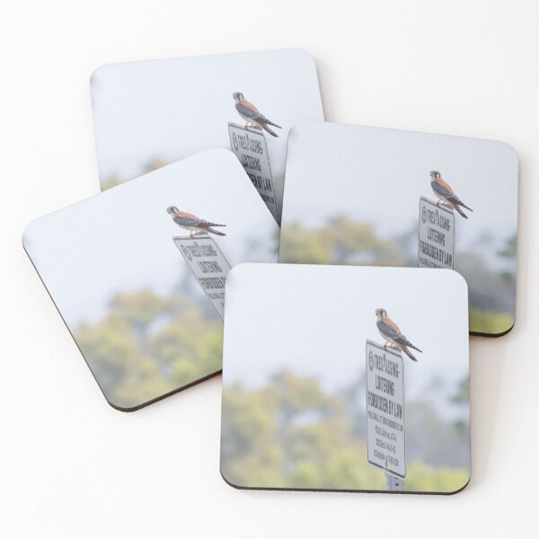Item preview, American Kestrel designed and sold by LaurenTucker.