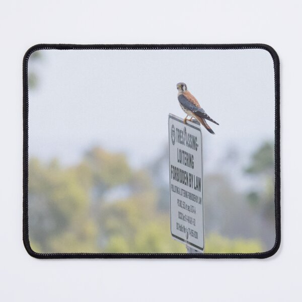 Item preview, American Kestrel designed and sold by LaurenTucker.