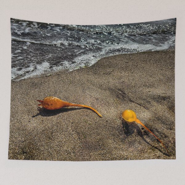 Item preview, Surfistas designed and sold by Steve Walser.