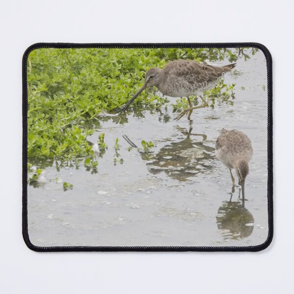 Item preview, Long Billed Dowitcher designed and sold by LaurenTucker.