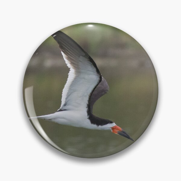 Item preview, Black Skimmer designed and sold by LaurenTucker.