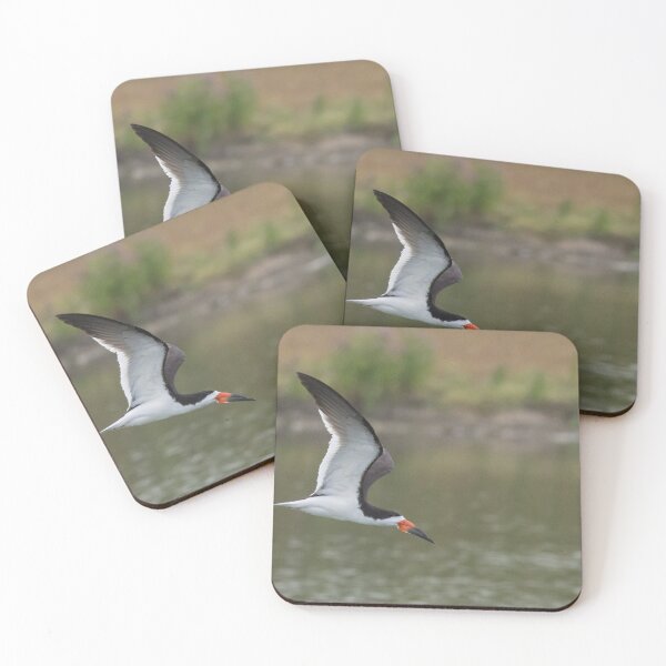 Item preview, Black Skimmer designed and sold by LaurenTucker.