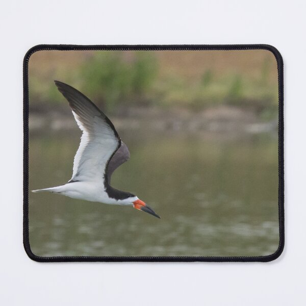Item preview, Black Skimmer designed and sold by LaurenTucker.