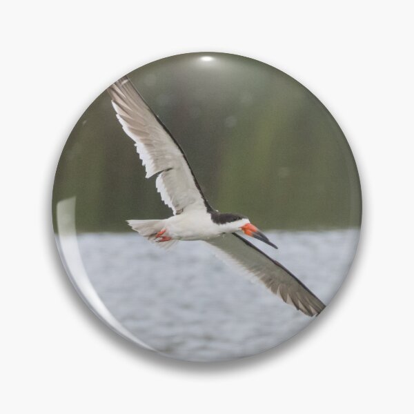 Item preview, Black Skimmer designed and sold by LaurenTucker.