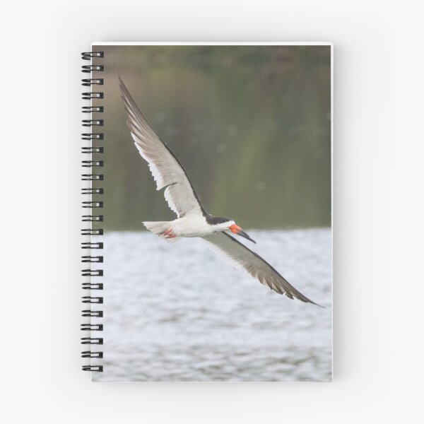 Item preview, Black Skimmer designed and sold by LaurenTucker.