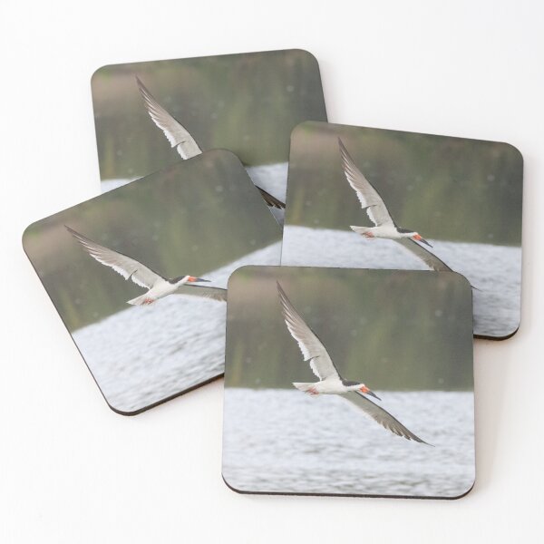 Item preview, Black Skimmer designed and sold by LaurenTucker.