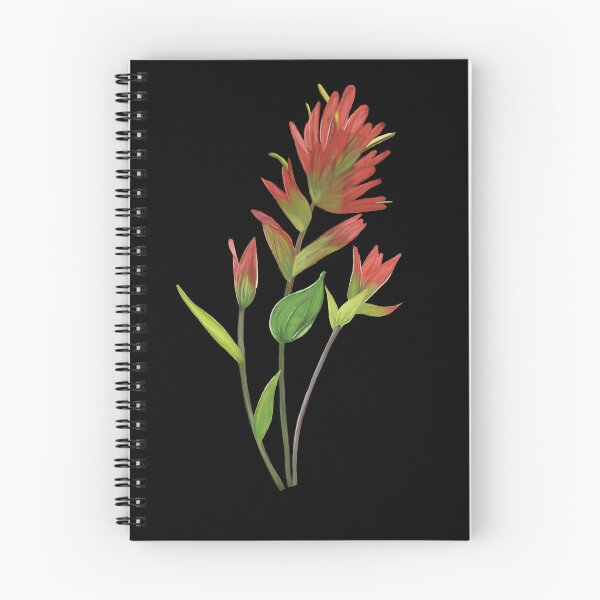 Item preview, Indian Paintbrush Castilleja Wildflower designed and sold by Angie-Atelier.
