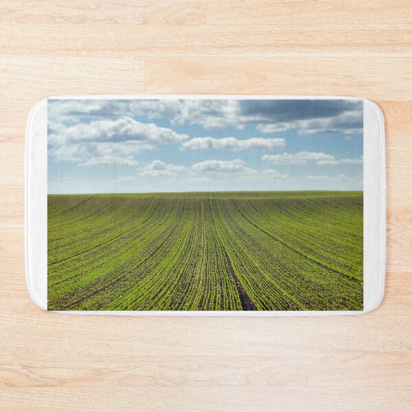 Item preview, Young green wheat in the field landscape,sunny autumn day  designed and sold by goceris.