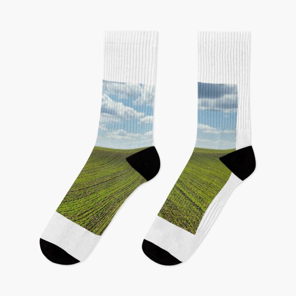 Item preview, Young green wheat in the field landscape,sunny autumn day  designed and sold by goceris.