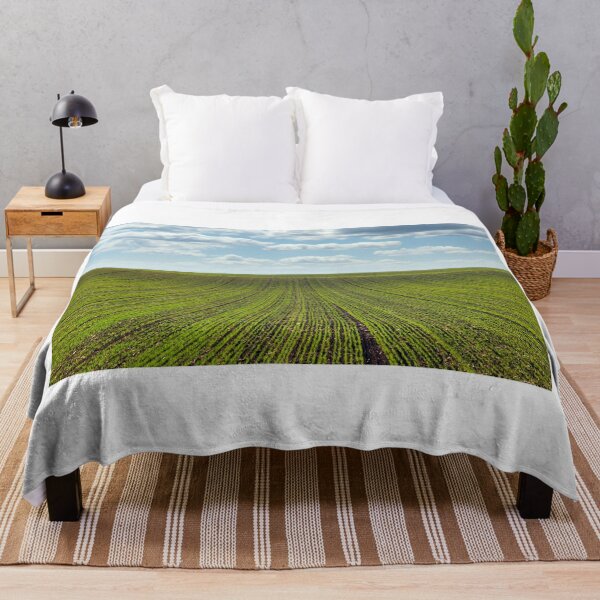 Item preview, Young green wheat in the field landscape,sunny autumn day designed and sold by goceris.