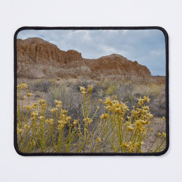 Item preview, Wildflowers at Cathedral Gorge State Park designed and sold by Scenic West - Photos by Angel.