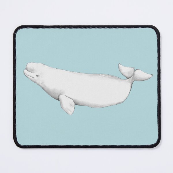 Item preview, Beluga Whale designed and sold by Živa Viviana Doria.