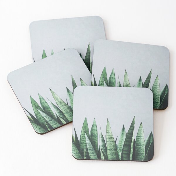 Item preview, Sansevieria plant leaves, minimalistic style, green foliage, indoor plant decor with copy space designed and sold by TIA-shop.