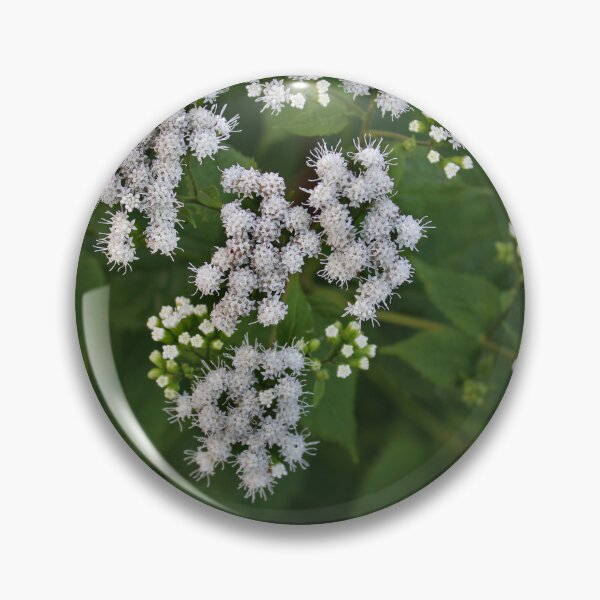 Item preview, White snakeroot designed and sold by McFleur's Lens.