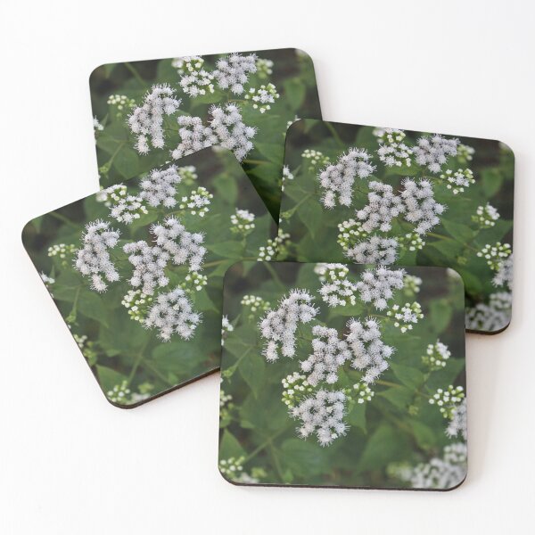 Item preview, White snakeroot designed and sold by McFleur's Lens.
