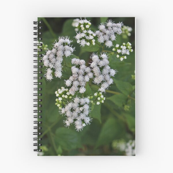 Item preview, White snakeroot designed and sold by McFleur's Lens.