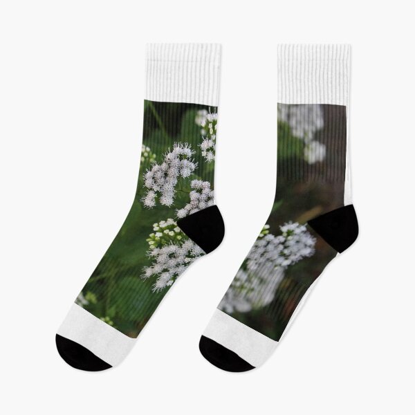 Item preview, White snakeroot designed and sold by McFleur's Lens.