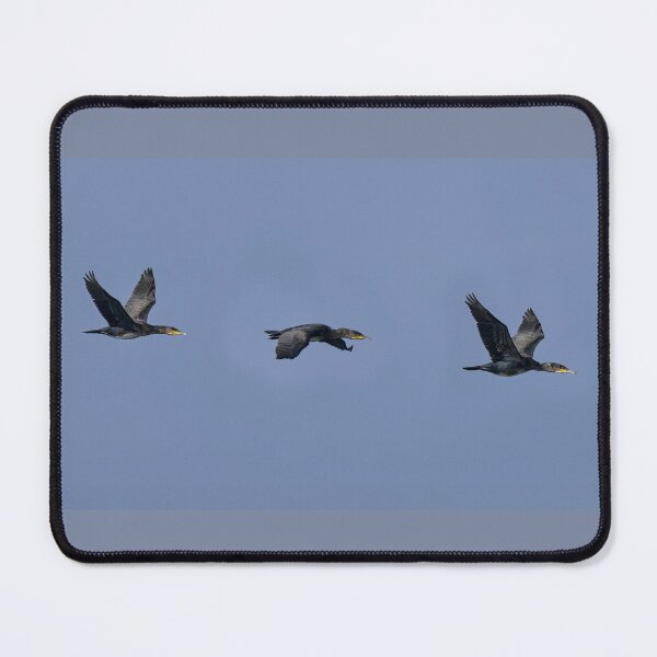 Item preview, Cormorants in Flight designed and sold by Tom McPherson Photography.
