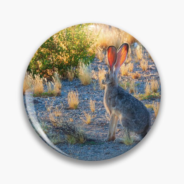 Item preview, Black-tailed Jackrabbit, Southern Arizona designed and sold by Travelways.