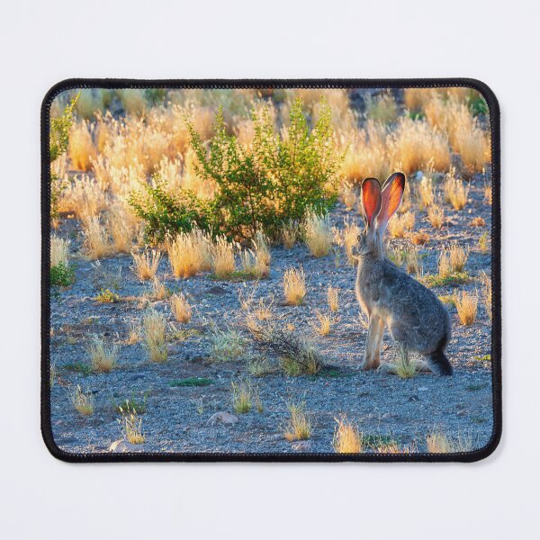 Item preview, Black-tailed Jackrabbit, Southern Arizona designed and sold by Travelways.
