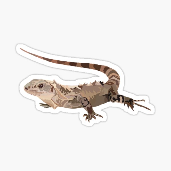 Item preview, U is for Utilia Spiny Tailed Iguana  designed and sold by thezoogirl.