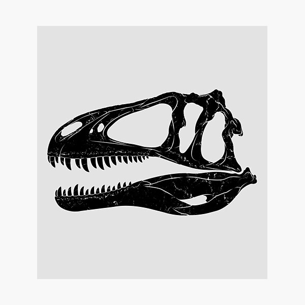 Artikel-Vorschau von Acrocanthosaurus Schädel Fossil, designt und verkauft von NicGrayGraphic.