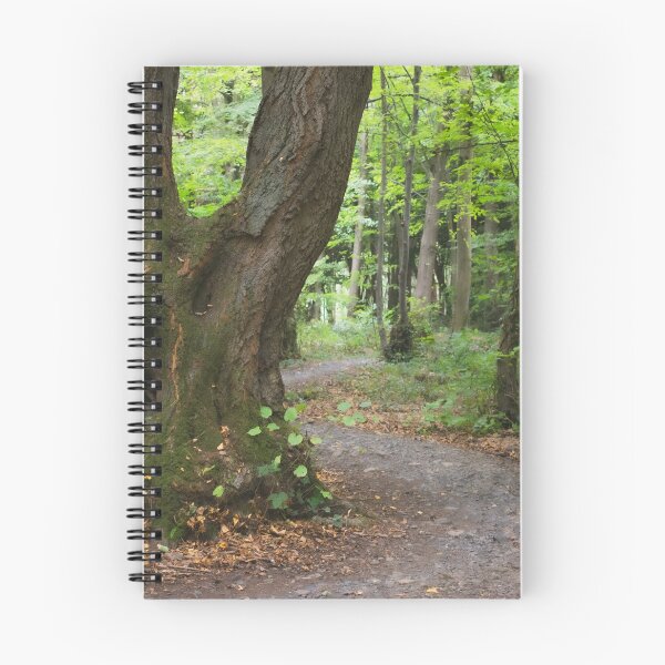 Item preview, Forest Path designed and sold by Christine Lake.