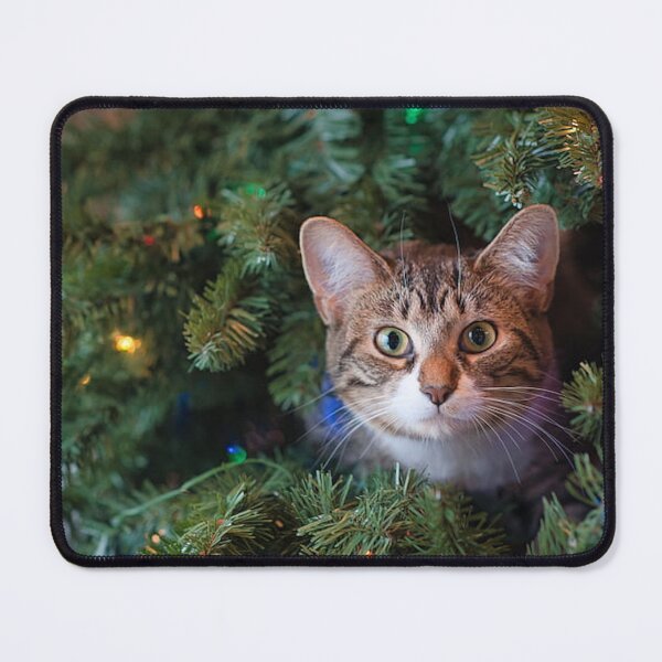 Item preview, COZY CHRISTMAS SEASON designed and sold by THE AMERICAN TEEVANGELIST.