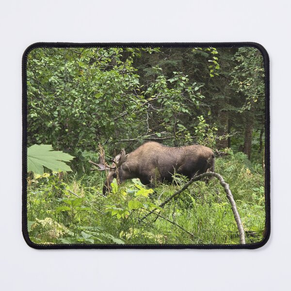 Item preview, Anchorage Moose designed and sold by Amanda Huggins.