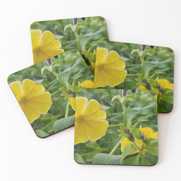 Item preview, Closeup of Yellow Petunia designed and sold by Quincy-Hedgehog.