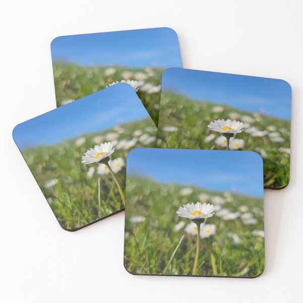 Item preview, Focus on a Miniature Daisy designed and sold by Quincy-Hedgehog.