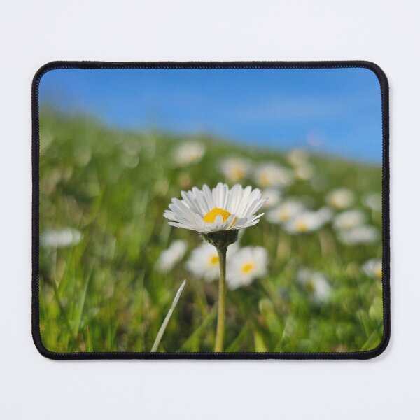 Item preview, Focus on a Miniature Daisy designed and sold by Quincy-Hedgehog.