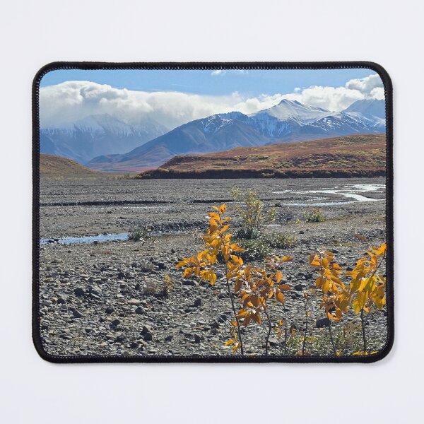 Item preview, Denali Exploring designed and sold by Amanda Huggins.