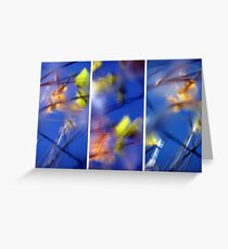 Beyond Blue - Triptych Greeting Card
