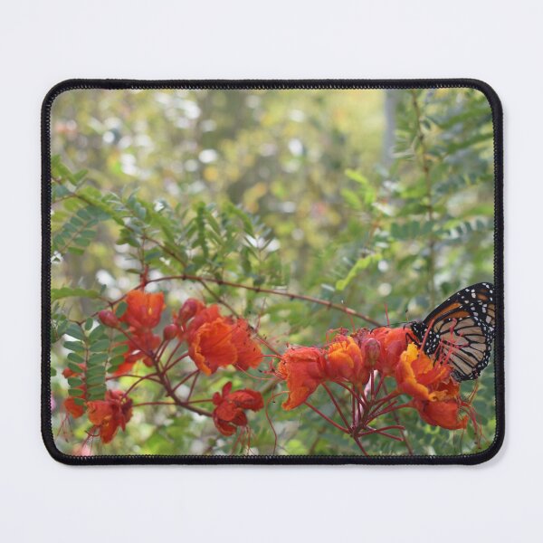 Item preview, Monarch Butterfly on Red Flowers designed and sold by MangoSeeds.