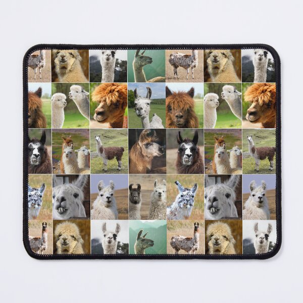 Item preview, Llamas Photos Collage designed and sold by ColorfulPrints.