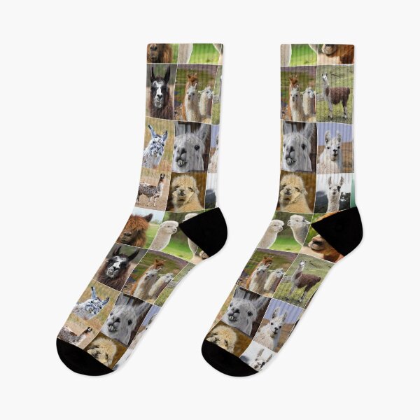 Item preview, Llamas Photos Collage designed and sold by ColorfulPrints.