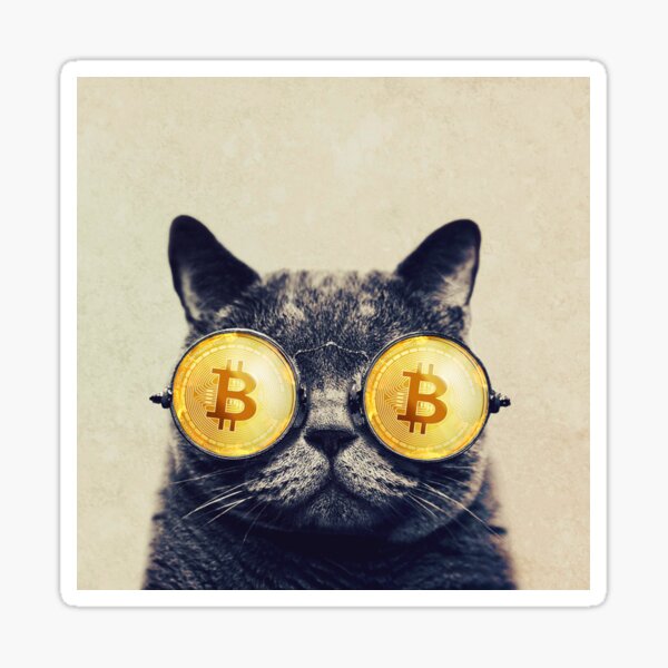 cat bitcoin forextb corso