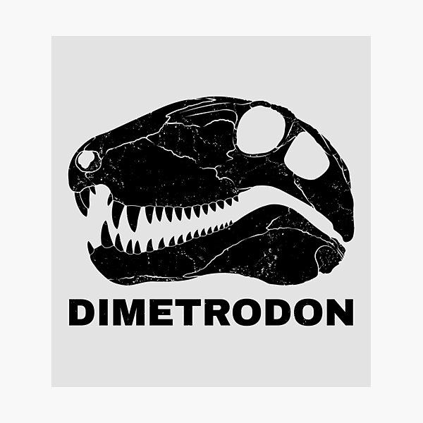 Artikel-Vorschau von Dimetrodon Schädel Fossil, designt und verkauft von NicGrayGraphic.