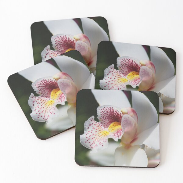 Item preview, White And Smiling Orchid designed and sold by Joy Watson - Natural Light Photography .