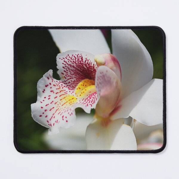 Item preview, White And Smiling Orchid designed and sold by Joy Watson - Natural Light Photography .