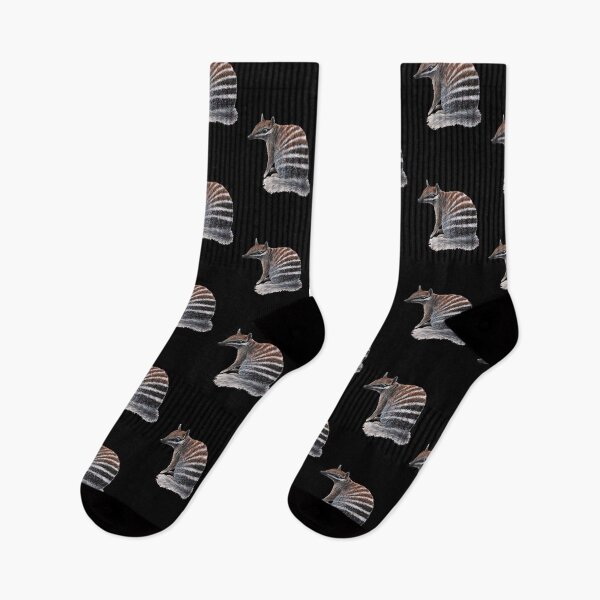 Item preview, Numbat designed and sold by Allyphotog.