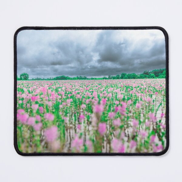 Item preview, beautiful spring blooming pink flowers amidst waters during the rainy season. designed and sold by MiMee4451.