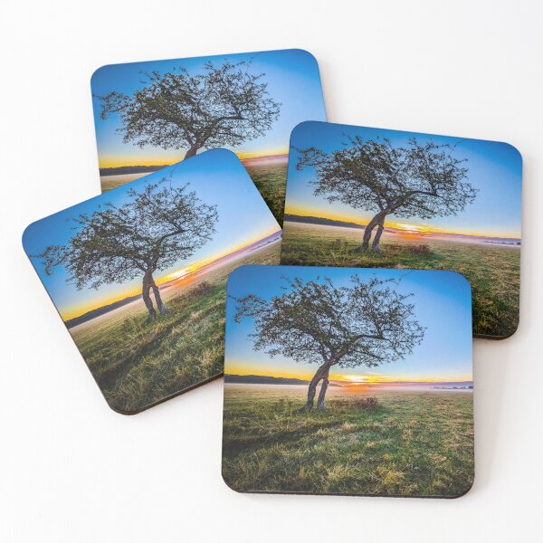 Item preview, Misty Dawn in Phoenix Park designed and sold by KMNscapes – Ireland Prints & Beyond.