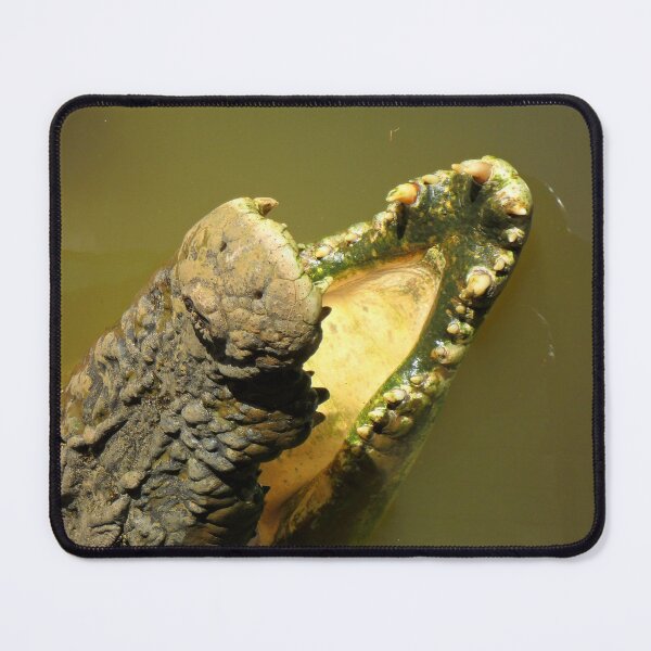 Item preview, Snap Crocodile designed and sold by Dreamscape Eclectic .