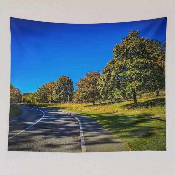 Item preview, Autumn’s First Touch in Phoenix Park designed and sold by KMNscapes – Ireland Prints & Beyond.