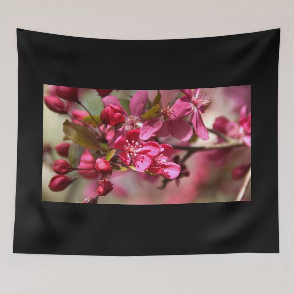 Item preview, Pink Prunus Blossum at Magpie Springs by Avril Thomas designed and sold by MagpieSprings.