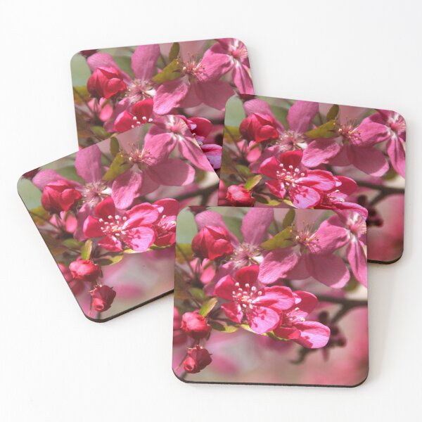 Item preview, Pink Prunus Blossum at Magpie Springs by Avril Thomas designed and sold by MagpieSprings.