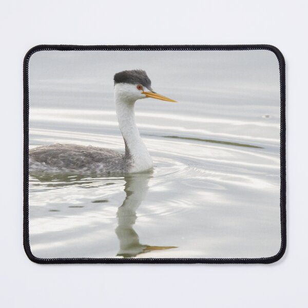 Item preview, Clark's Grebe designed and sold by LaurenTucker.