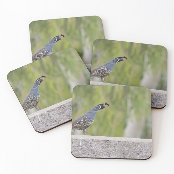 Item preview, California Quail designed and sold by LaurenTucker.